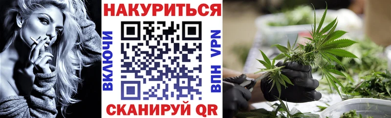 где можно купить наркотик  Весьегонск  Шишки марихуана SATIVA & INDICA 